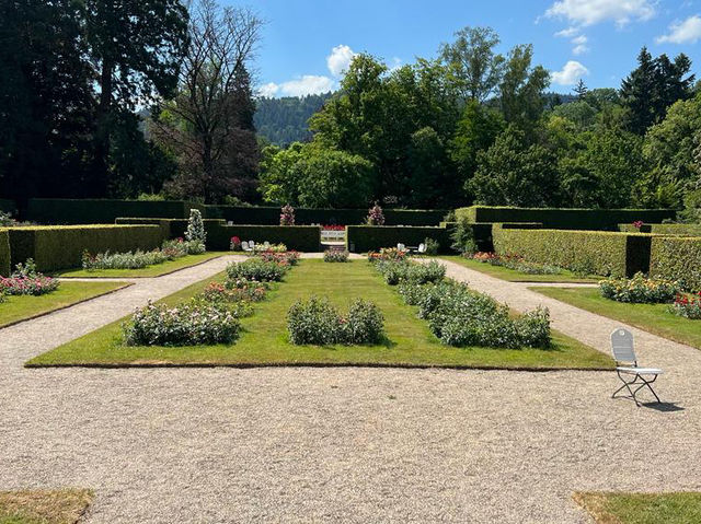🌹✨ A Blooming Dream: Rose Garden of Baden-Baden, Germany 🇩🇪🌿   🌹✨ A Blooming Dream: Rose Garden of Baden-Baden, Germany 🇩🇪🌿