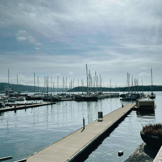 Oslo on a Budget: Fjords, Parks & Hidden Gems