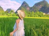 🌿 Guilin’s Timeless Charm: Karst Peaks & Golden Fields