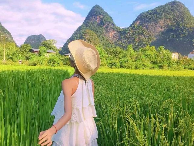 🌿 Guilin’s Timeless Charm: Karst Peaks & Golden Fields