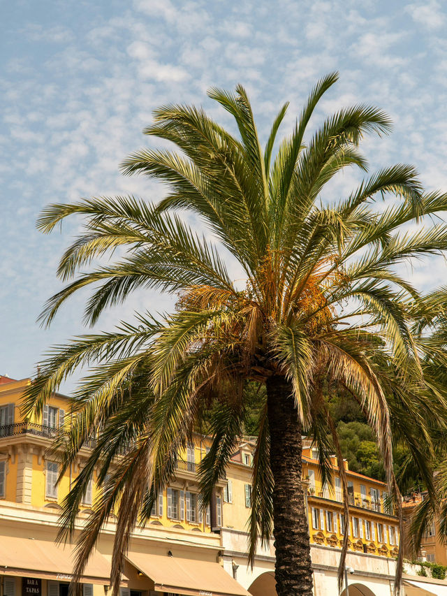 🏙️✨ Weekend Getaway in Nice: City Explorer’s Guide 🚶‍♂️🌸