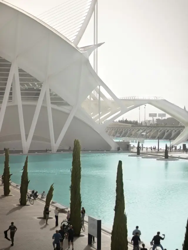 🧡🍊 Weekend Getaway in Valencia: Markets & Hidden Streets 🌿🏙️