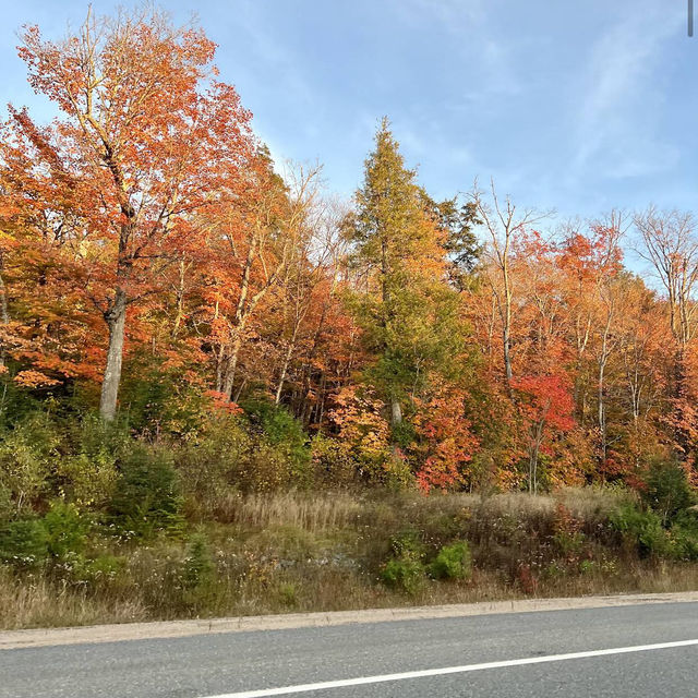Algonquin Provincial Park Algonquin Provincial Park