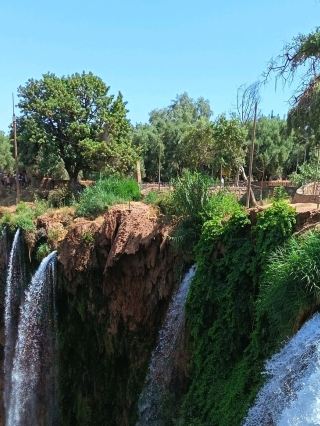 🇲🇦 Ouzoud → Marrakech: From Nature to the Red City.

A journey through two unforgettable sides of Morocco. 🌊🏜️
The trip began at Ouzoud Waterfalls, surrounded by beautiful landscapes and the peaceful atmosphere of nature. From there, the journey continued toward Marrakech, where the scenery changed from waterfalls and mountains to the vibrant streets and timeless charm of the Old Medina.
What I loved most was the contrast: the tranquility of Ouzoud followed by the energy and character of Marrakech. ✨
If you had to choose one for your next Moroccan trip, Ouzoud or Marrakech — which would you pick? 🇲🇦👇

✈️ Quick Tips for Visiting Ouzoud & Marrakech 🇲🇦
🌊 Ouzoud: Start early to enjoy the waterfalls before it gets busy.
👟 Wear comfortable shoes — some paths around the falls are uneven.
🚌 Transport: Plan your return to Marrakech in advance, especially if visiting independently.
🕌 Marrakech Medina: Wear comfortable shoes and take your time exploring the narrow streets.
💧 Carry water, especially during warmer months.

📍 Ouzoud Waterfalls, Azilal Province, Morocco → Marrakech, Morocco

#ouzoudwaterfalls  #marrakech  #morocco  #visitmorocco  #moroccotravel  #travelmorocco  #marrakechmedina  #oldmedina  #exploremorocco  #moroccanculture  #travelphotography  #tripcom  #tripmoments  #discovermorocco  #africatravel 
