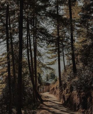 Bhutan 🇧🇹

I came looking for a destination and found a whole different pace of life.

Winding roads through the Himalayas. Prayer flags moving with the wind. Ancient monasteries above the clouds. And moments where there was nothing to do but take it all in. 🏔️

Bhutan wasn’t about how many places I could see — it was about how present I felt while being there.

A quiet chapter, but one I’ll remember for a long time. ✨