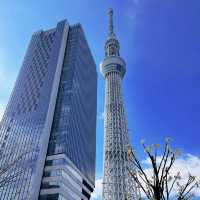 Tallest Tower in the World; Tokyo Skytree 🗼🇯🇵