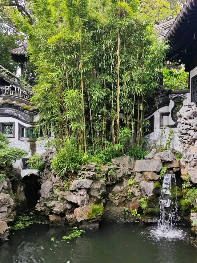 The Crown of Beauty in Southeast China