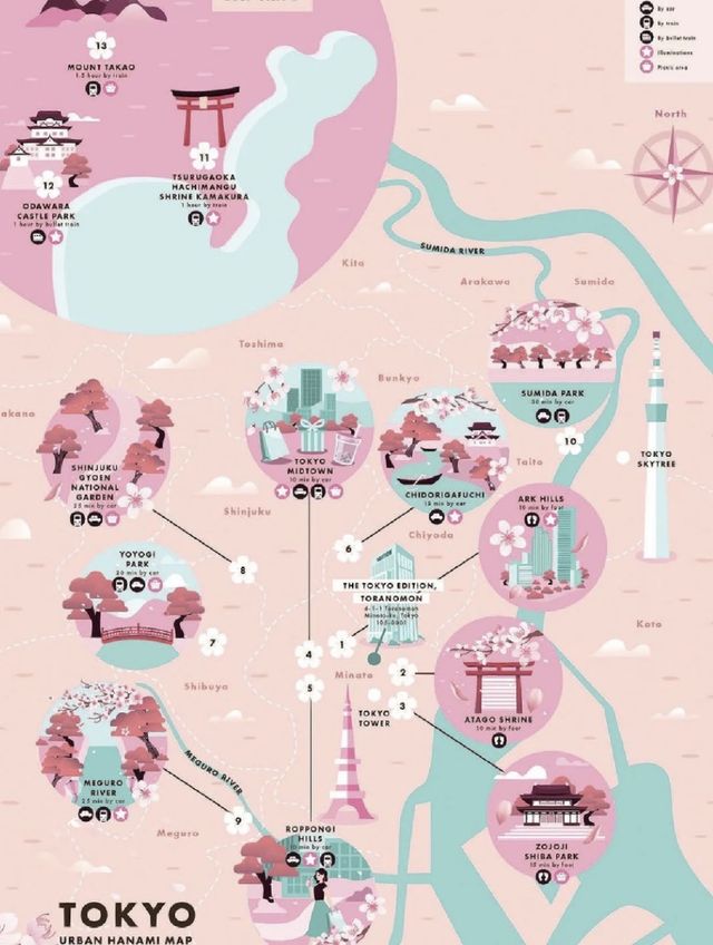 ❤️❤️Japan Cherry Blossom Season | Top 5 Cherry Blossom Viewing Spots in Tokyo