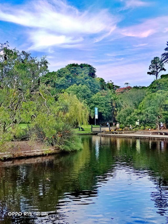 Sydney Royal Botanic Garden