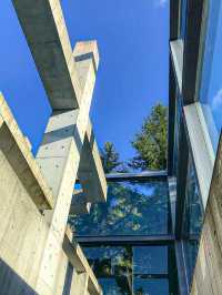 Check in at Tadao Ando's Water Church ✨