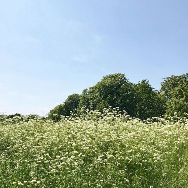 Ealing Common - London