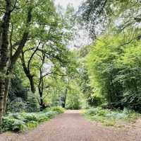 Epping Forest - London
