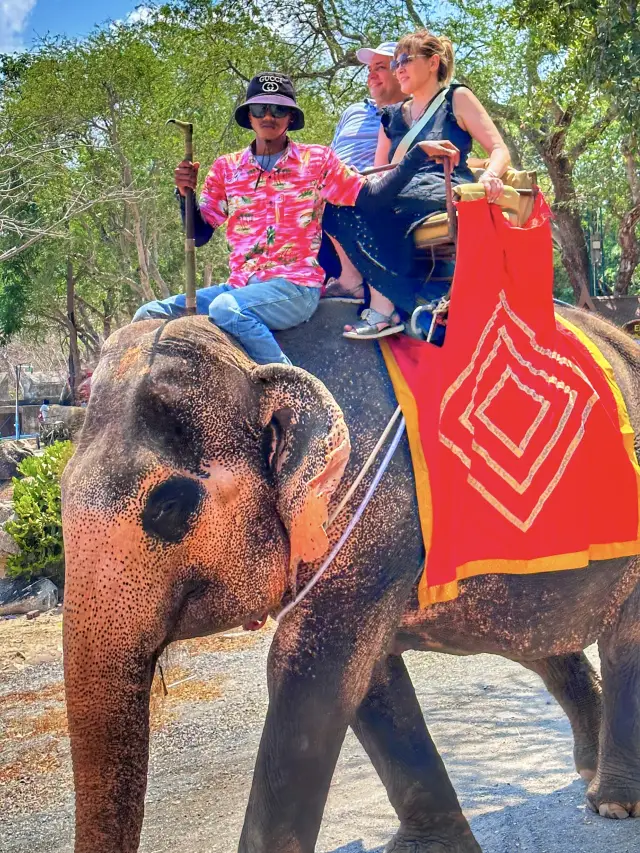 Thailand. Pattaya | Temple of Truth