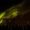 TwilightMystic3vgn