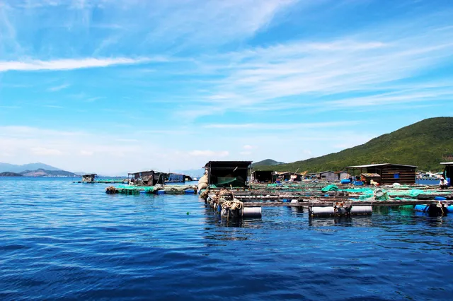 A collection of niche attractions in Vietnam📚