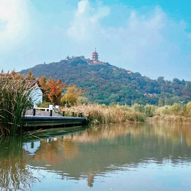 늑대산은 산이지만 산 같지 않습니다