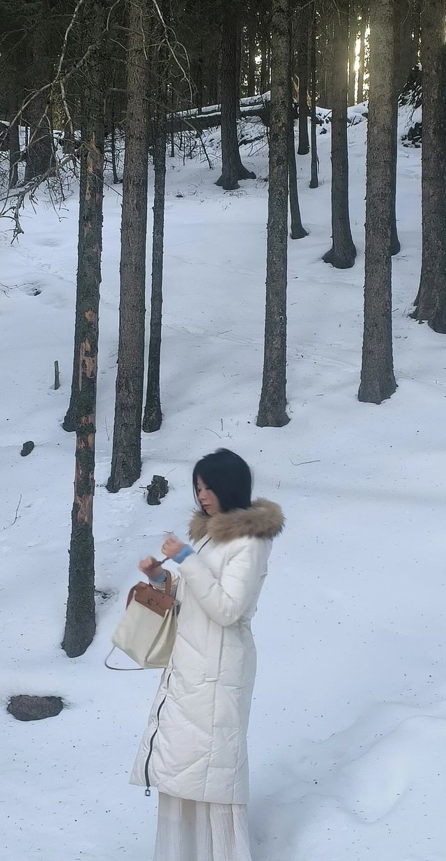 烏魯木齊天山天池三天旅遊攻略