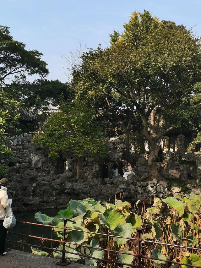 別再去熱門園林人擠人啦！小眾怡園也很驚艷！