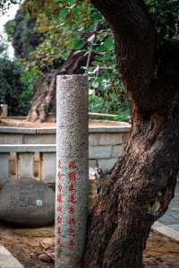 福建最大的佛寺，坐擁中國最高雙石塔，就在閩C泉州｜開元寺