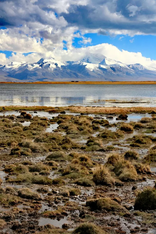 Tibet Ali, the journey of the sacred mountain and lake