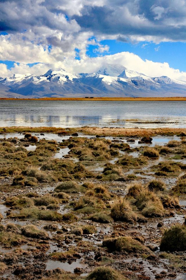 西藏阿里，神山聖湖之旅