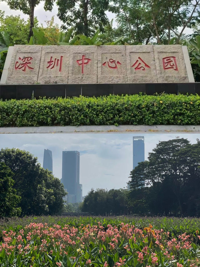 深圳 中心公園 |藏在市中心的綠野仙蹤