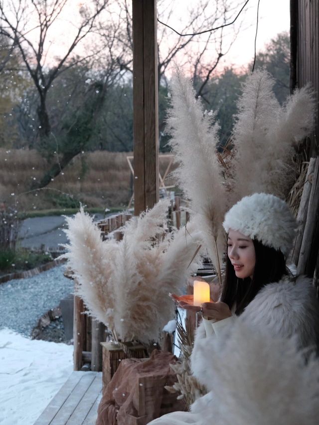 不是在“芬蘭”！是杭州太美了！