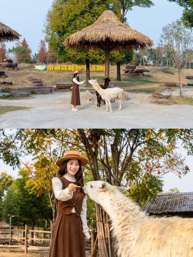 動物園中的天花板，晚上可與動物們同住