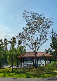大都市裡的野公園:金海濕地公園