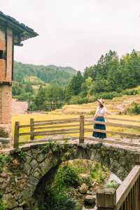 小眾屏南廈地村金色稻田之秋