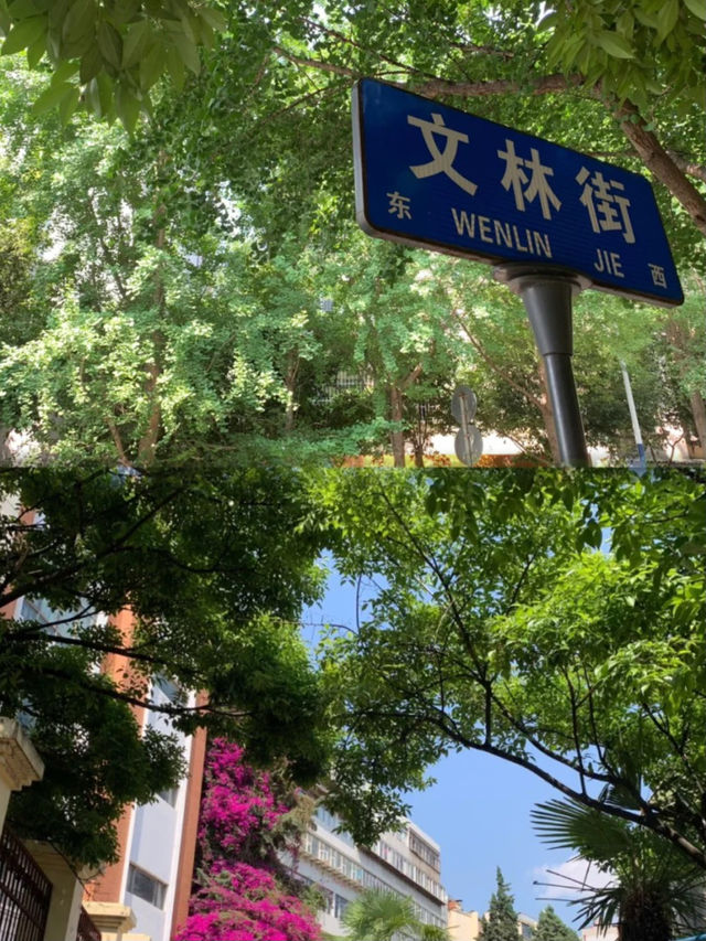 翠湖公園｜昆明市小眾旅遊景點