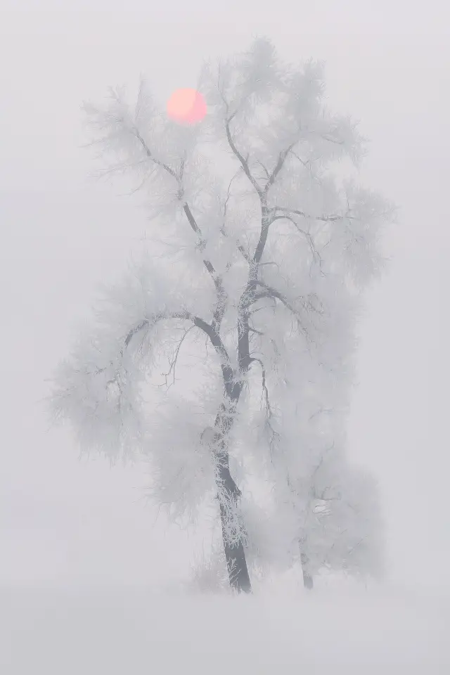 Jilin | Rime Island