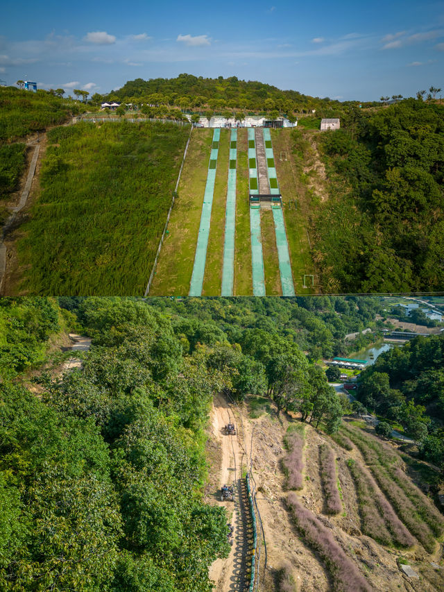 溫嶺 | 後嶺花開