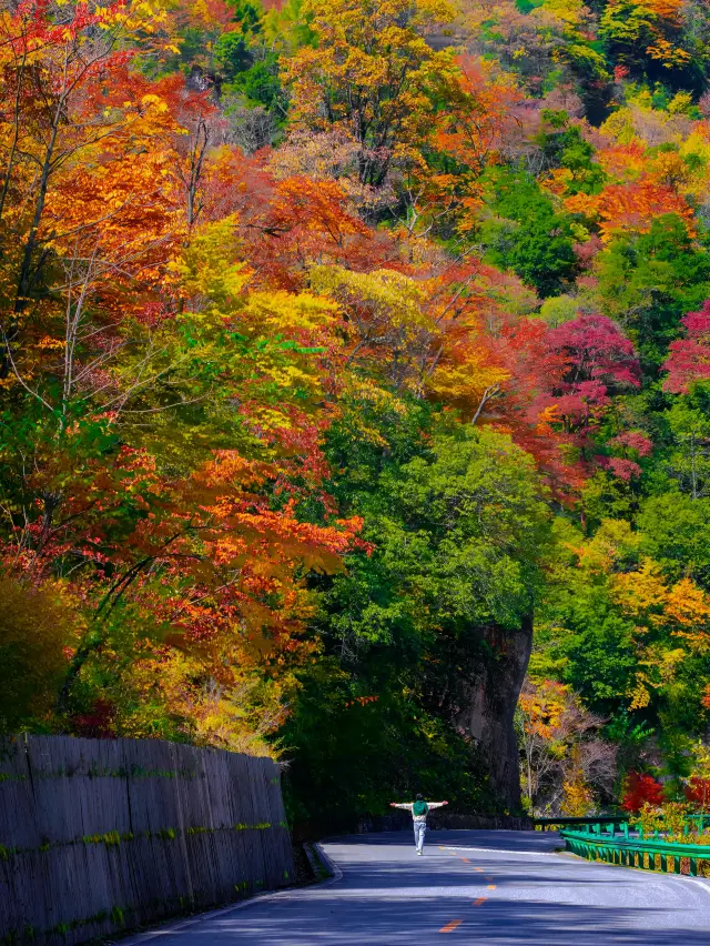 I can't believe the brilliant autumn of Guangwushan is so beautiful