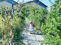 草房子樂園—寶藏地方