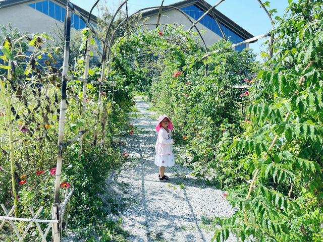 草房子樂園—寶藏地方
