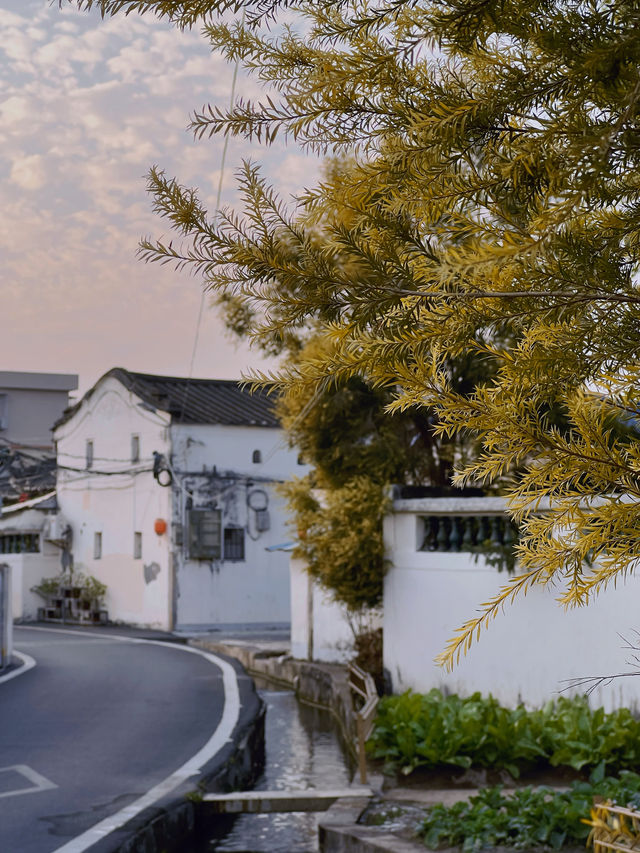 普寧市旅遊攻略｜景點推薦｜什石洋村