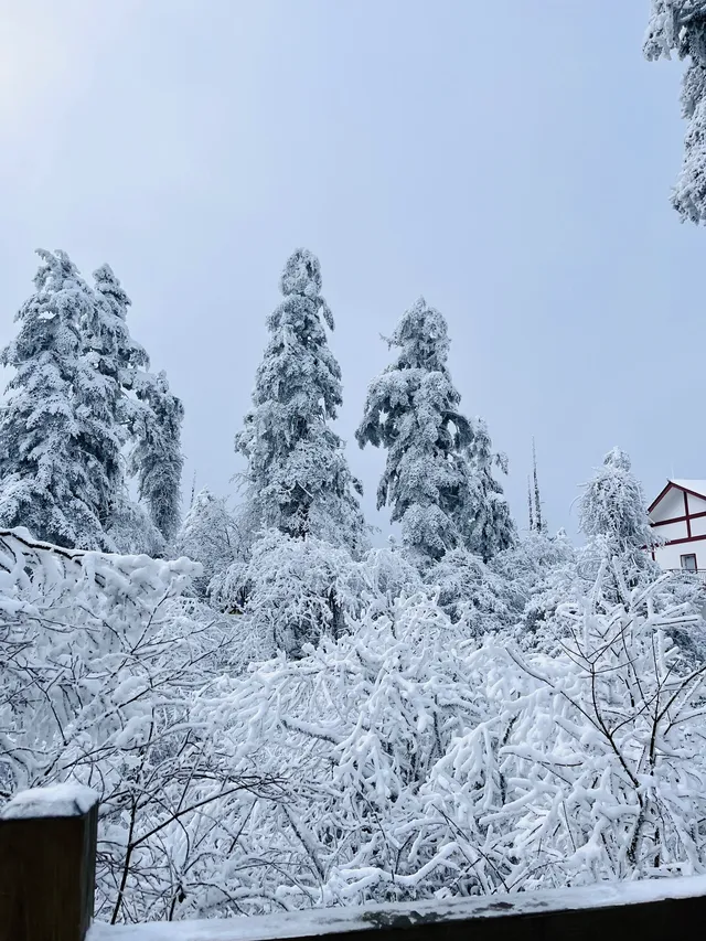 人生建議一定要在冬天去一次峨眉山