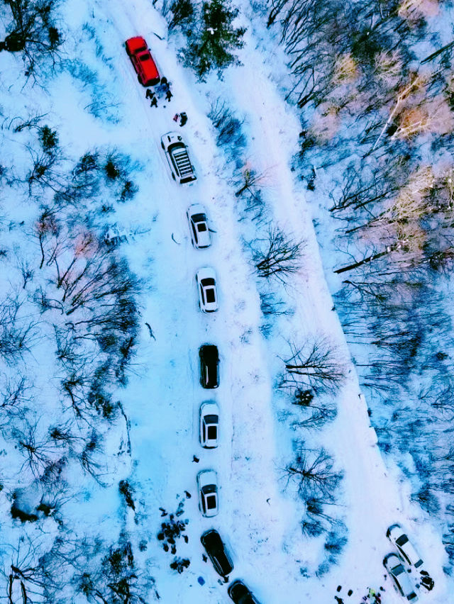 自駕黃柏塬|秦嶺最美景觀大道！太美了！