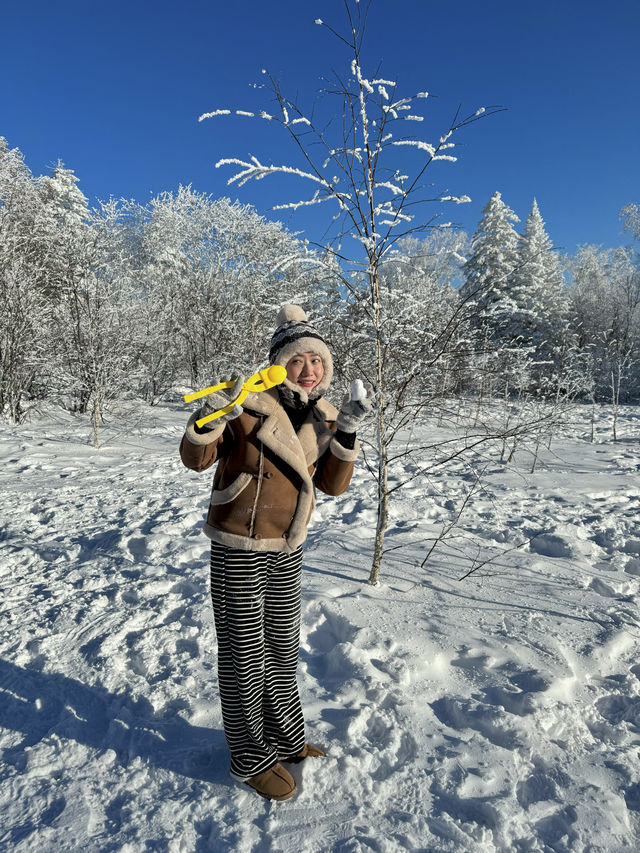 雪嶺芬蘭即視感