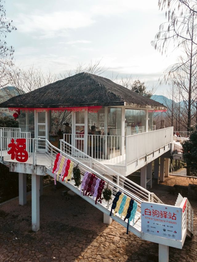 莫干山｜新春住進充滿年味的民宿 共度團圓夜