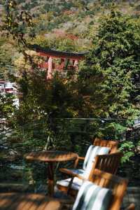 日光中禪寺湖景的高顏值森系酒店