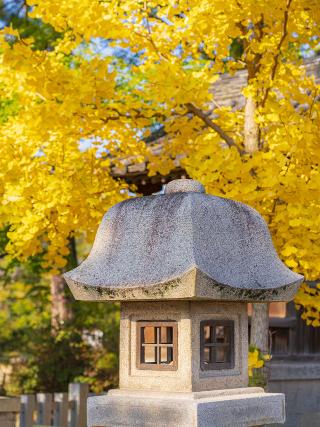 高松旅行善通寺