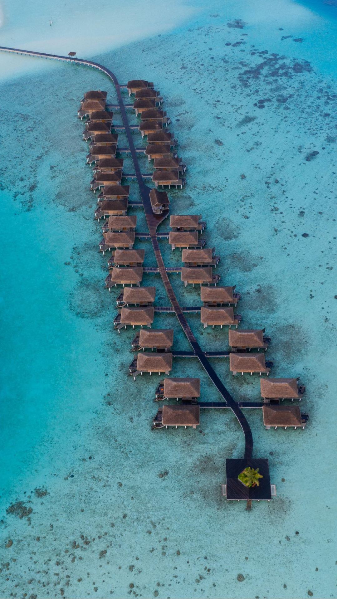 Unwind in Paradise: Experience Bliss at Constance Moofushi, Maldives!