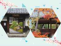 打卡京都清涼寺