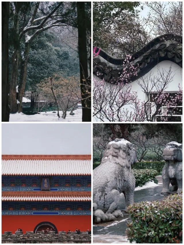 Nanjing Travel Guide: Enjoy the Beautiful Scenery