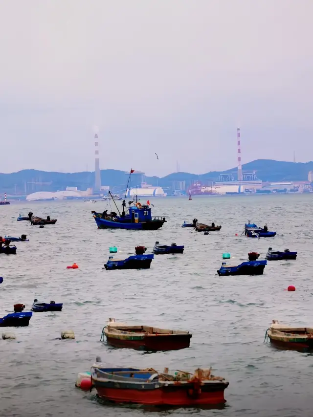 威海の超完璧な環海路一日ツアーの計画！