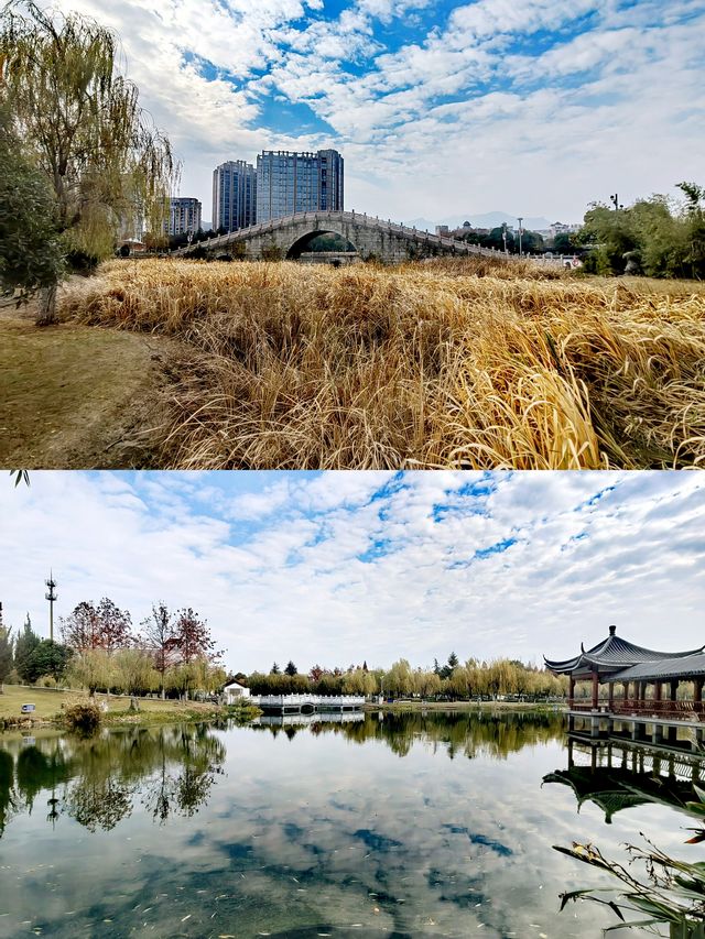 嚴寒中的東陽江濱公園：市民花園