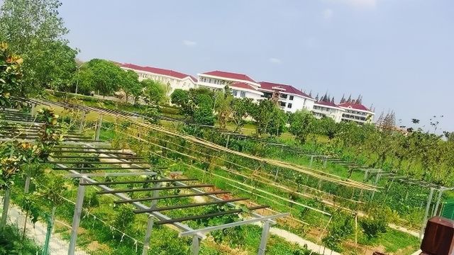 放飛自我、回歸自然的三顧茅廬