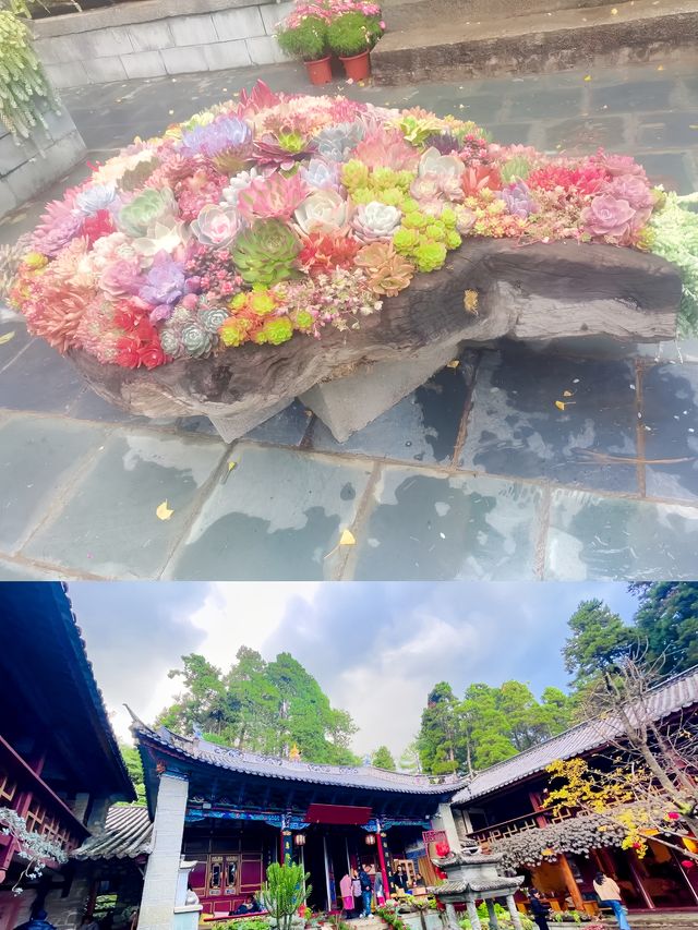 大理旅行第三天，我們又有了新的體驗～